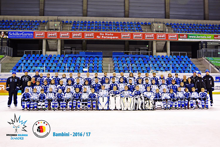 Dresdner Eislöwen Juniors